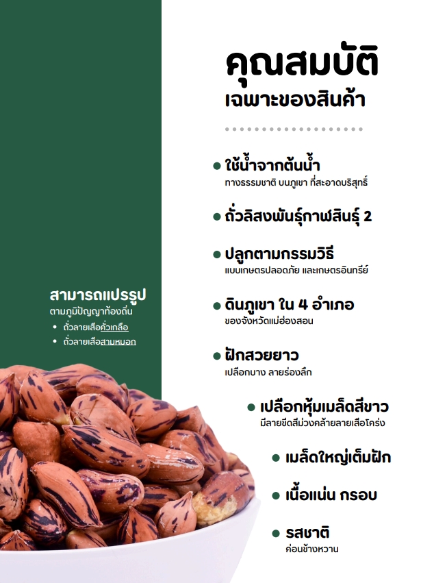 ถั่วลายเสือแม่ฮ่องสอน