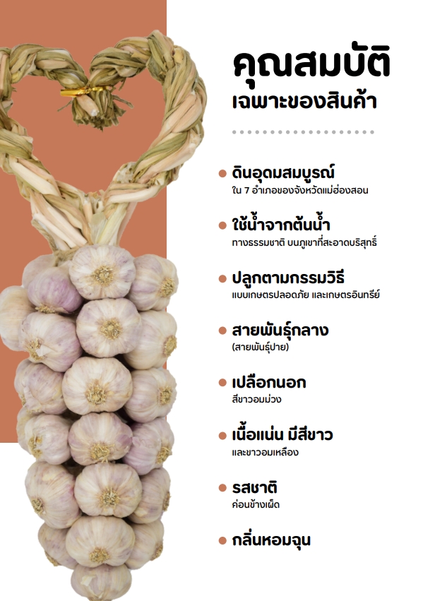 กระเทียมแม่ฮ่องสอน