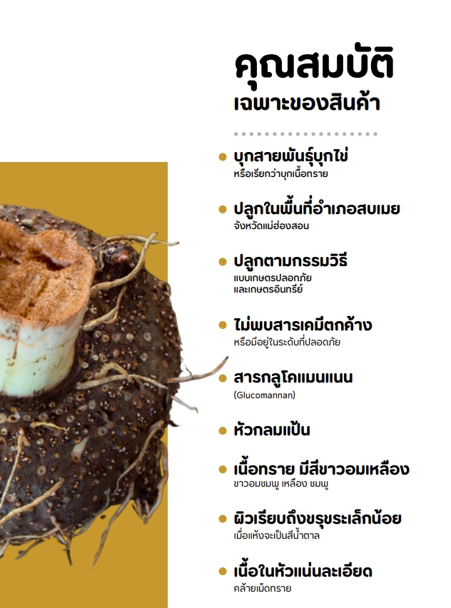 บุกแม่ฮ่องสอน